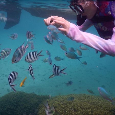 ゲストハウス備瀬の海 Buitenkant foto