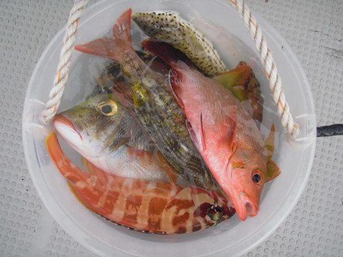 ゲストハウス備瀬の海 Buitenkant foto