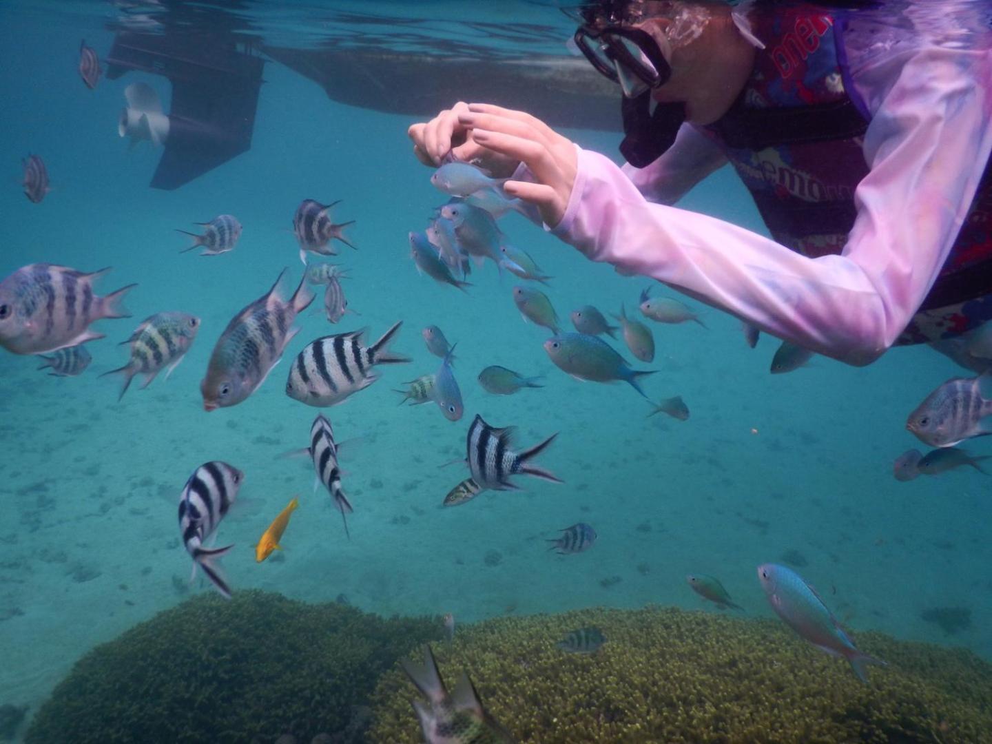 ゲストハウス備瀬の海 Buitenkant foto